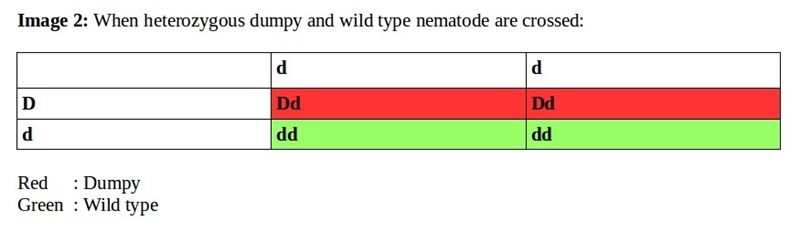 Dumpy” is a commonly used mutant phenotype in the nematode worm c. elegans. two “dumpy-example-1