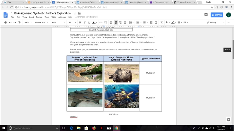 30 points There are 3 types of categories for the symbiotic relationship: Mutualism-example-1