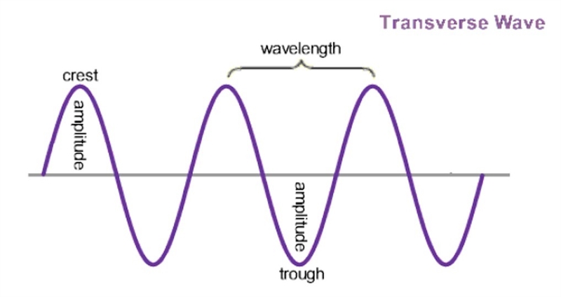 If a wave were nine feet high how much would the amplitude be?-example-1