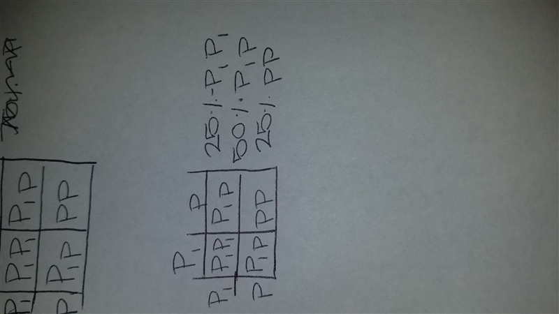 Suppose that a dominant allele (P) codes for a polka-dot tail and a recessive allele-example-1