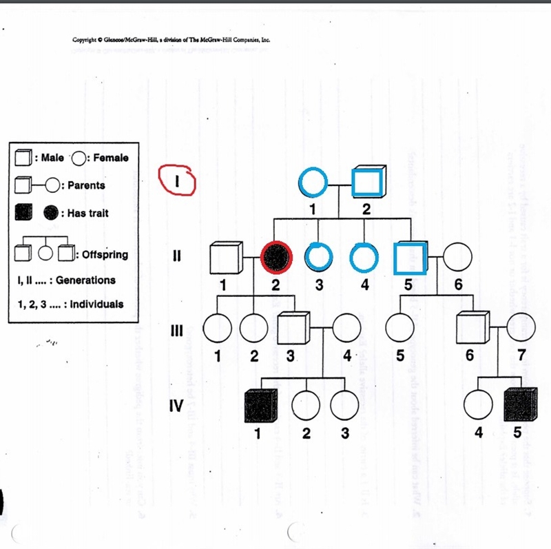 Suppose that the pedigree shown in the transparency is for a trait caused by recessive-example-1