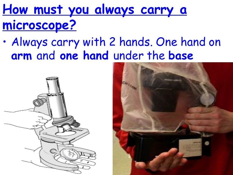 Why do you place one hand under the base of the microscope as you carry it?-example-2