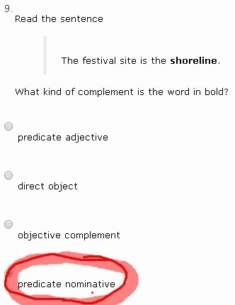 The festival site is the shoreline. What kind of complement is the word in bold? Predicate-example-1