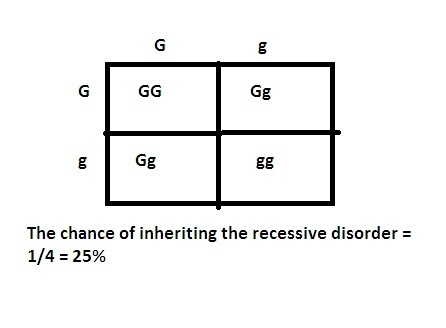 Two parents have the genotype Gg for a genetic disorder cause by a recessive allele-example-1