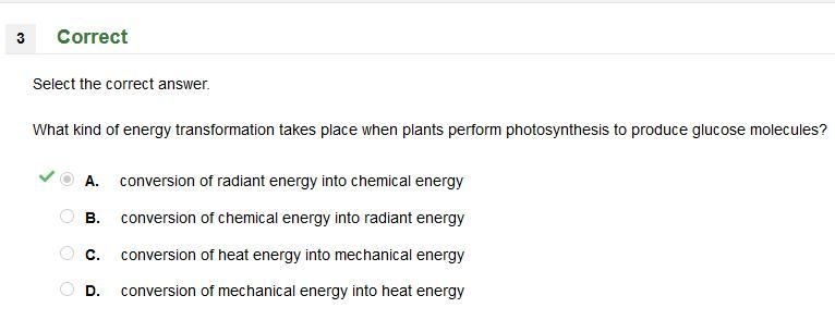 what kind of energy transformation takes place when plants perform photosynthesis-example-1