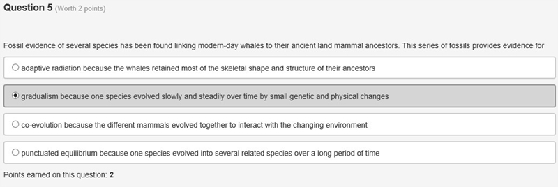 Fossil evidence of several species has been found linking modern-day whales to their-example-1