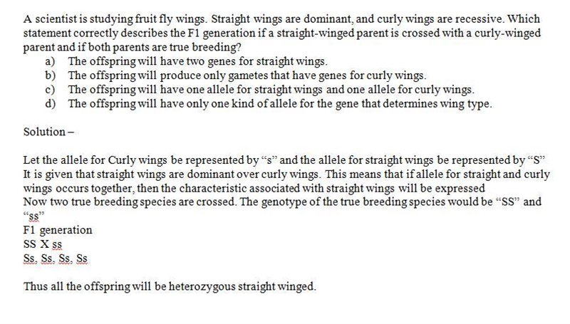 A scientist is studying fruit fly wings. Straight wings are dominant, and curly wings-example-1