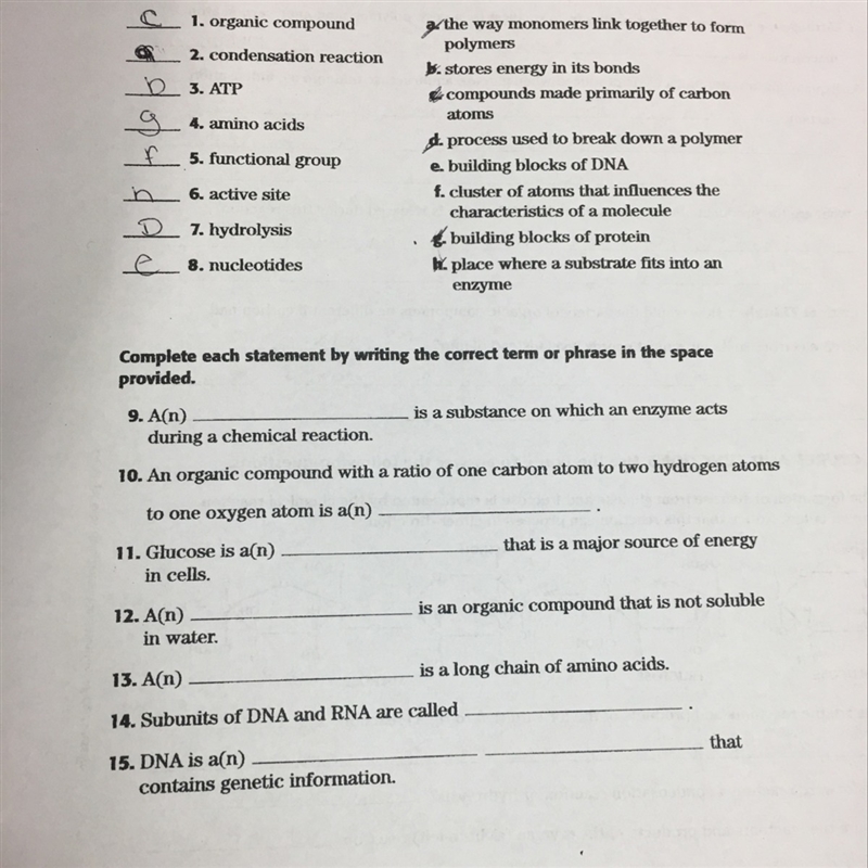 Complete each statement by writing the correct term or phrase in the space provided-example-1