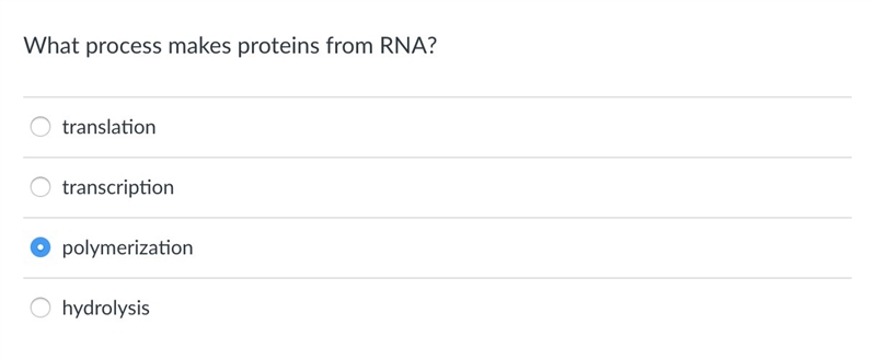 What process makes proteins from RNA?-example-1