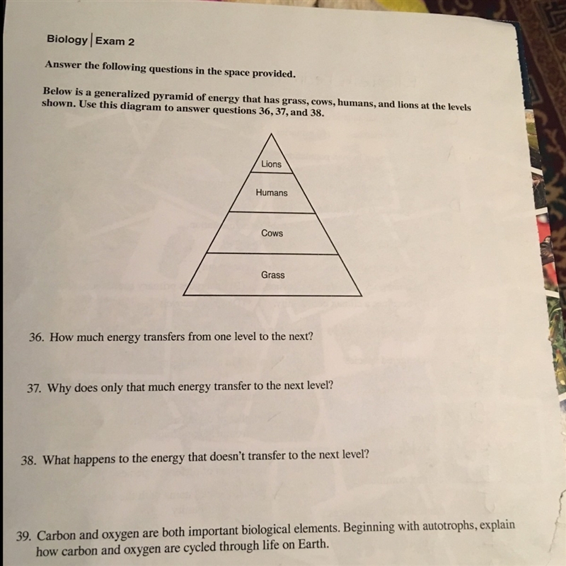 Can anyone help me with these questions-example-1