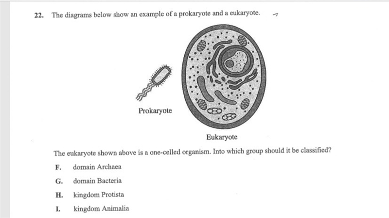 Multiple choice question ( biology)-example-1