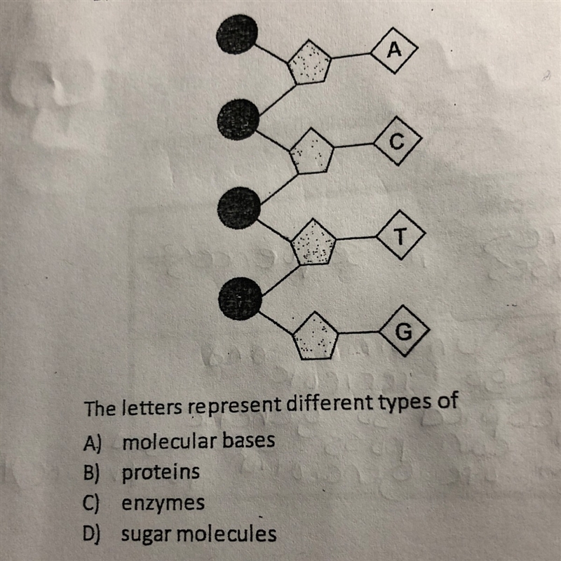 The letters represent diffrent types of what? Thank uu!-example-1