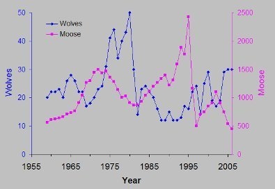 The graph shown above is from one of the most well-known and on-going ecological studies-example-1