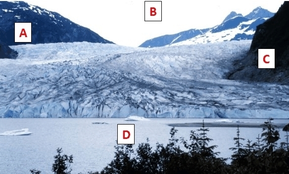 In this image of Mendenhall Glacier, Alaska, where would you most likely find lateral-example-1