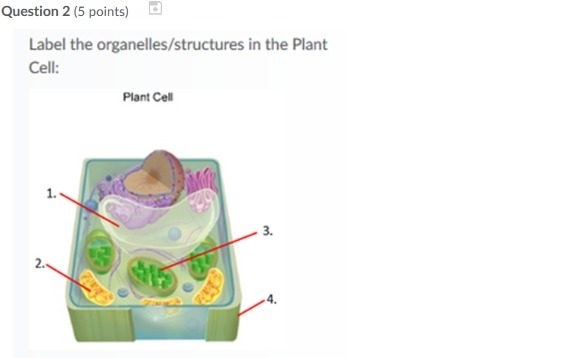 I need help ASAP PLEASE-example-1