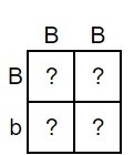 Examine the Punnett square below, which represents a cross between a male and a female-example-1