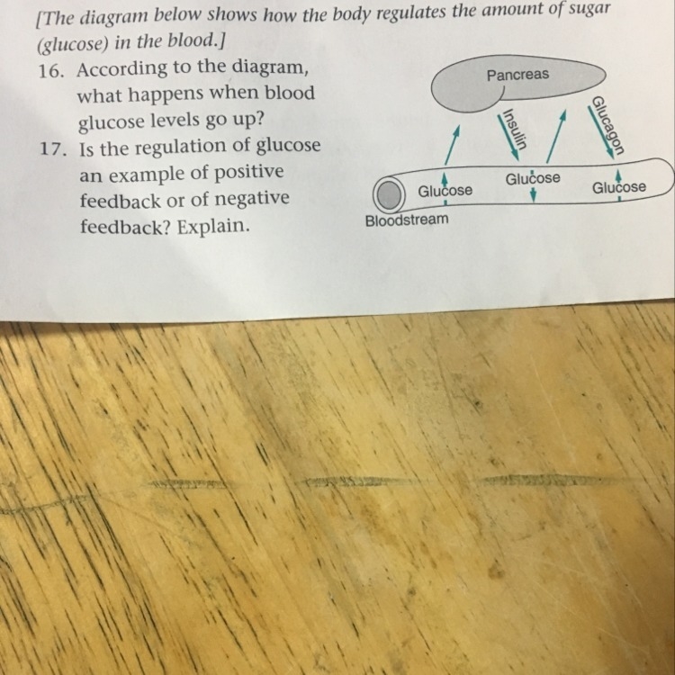 What are the answers for 16 and 17 please help-example-1