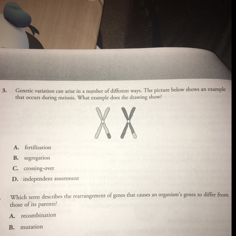 Genetic variation can arise in a number of different ways the picture below shows-example-1