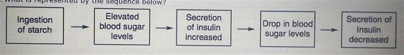 What is represented by the sequence below? a. a feedback mechanism in multicellular-example-1