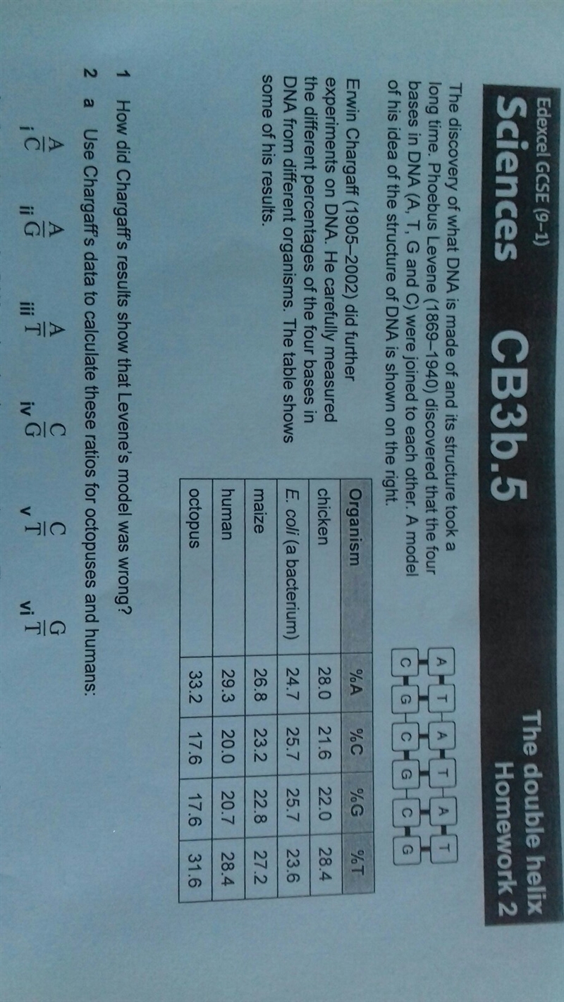 How did Chargaff's results show that Levene's model was wrong? (See picture for table-example-1