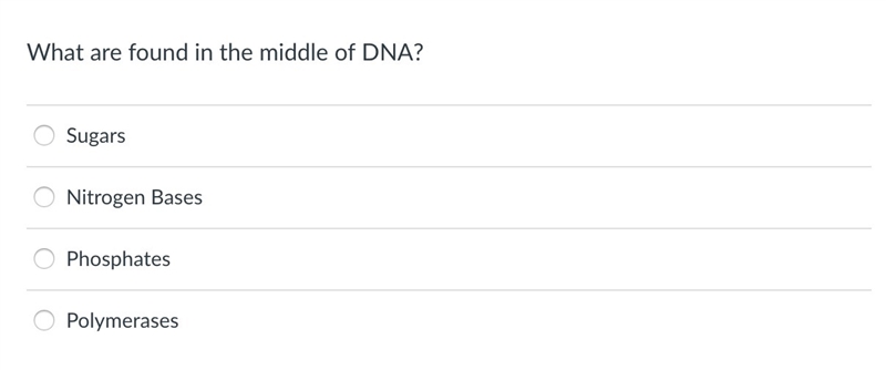 What are found in the middle of DNA?-example-1