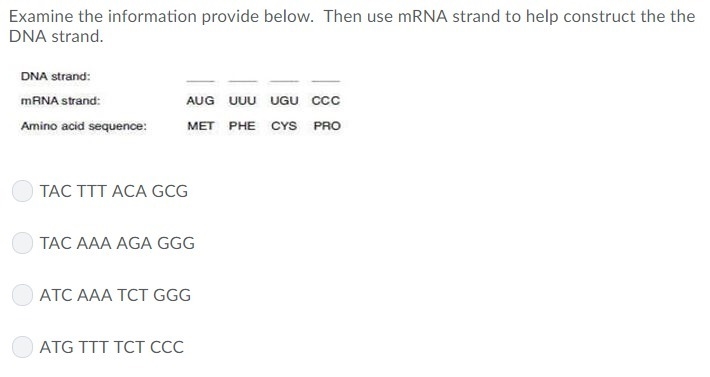 Can someone help me answer these? Thanks!-example-2