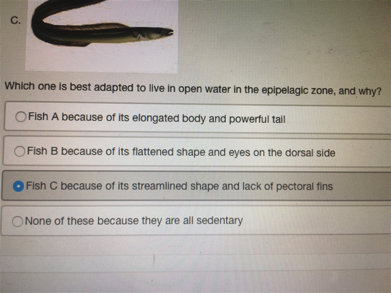 Could you please check my work?? Adaptations may occur when... MARINE SCIENCE 1.) Adaptations-example-3