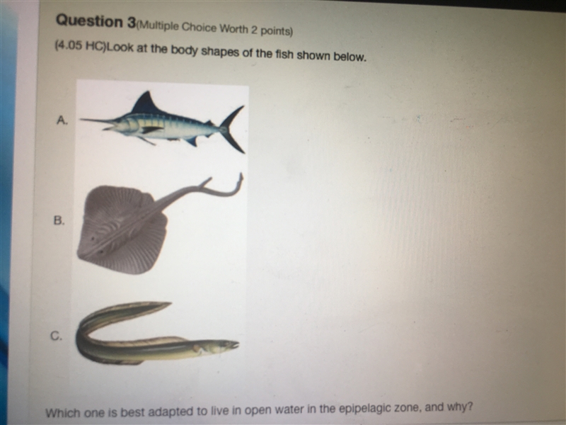 Could you please check my work?? Adaptations may occur when... MARINE SCIENCE 1.) Adaptations-example-4