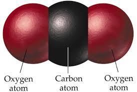 Which type of bond does this molecule have? Covalent Bond Hydrogen Bond Ionic Bond-example-1