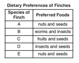 39. Based on its preferred food, species B would be classified as a A. decomposer-example-1