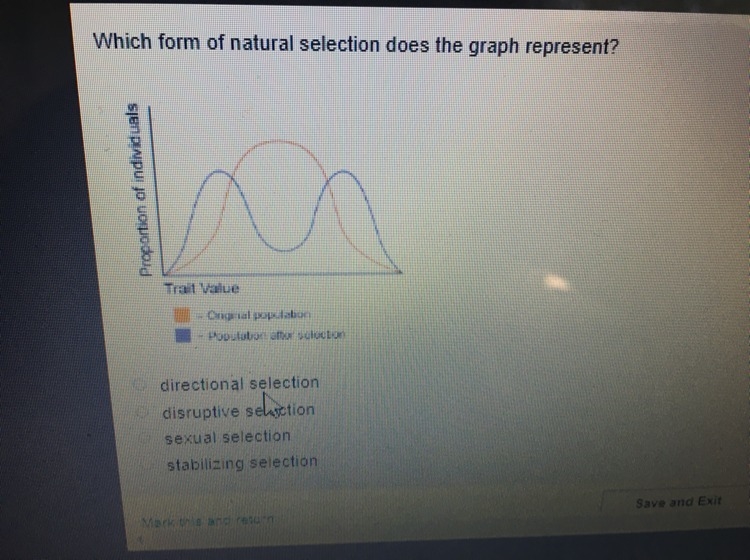 Please help ASAP, only right answers.-example-1