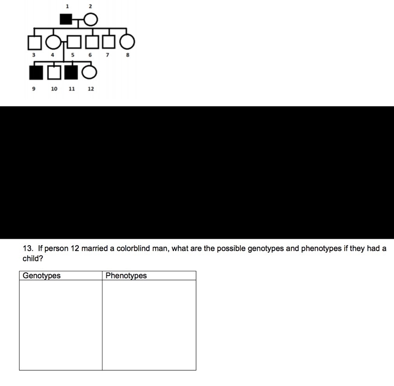 If person 12 married a colorblind man, what are the possible genotypes and phenotypes-example-1