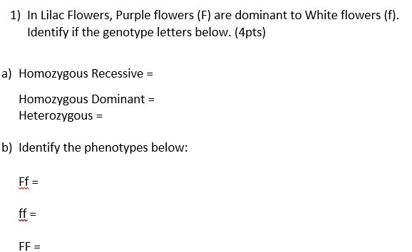 1) In Lilac Flowers, Purple flowers (F) are dominant to White flowers (f). Identify-example-1