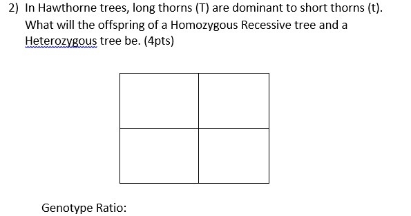 1) In Lilac Flowers, Purple flowers (F) are dominant to White flowers (f). Identify-example-2