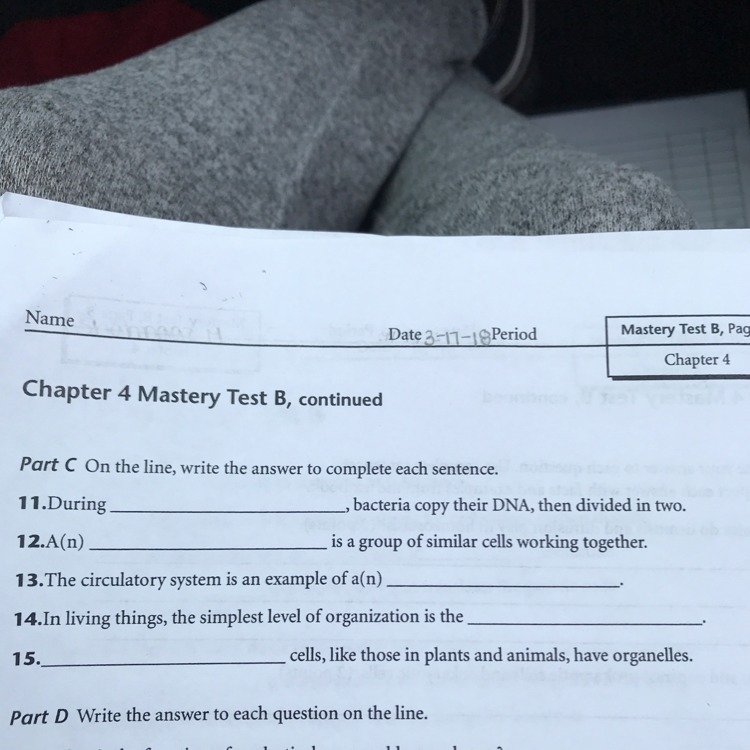 Can someone please help me with number 11, 12, 13, 14, and 15!-example-1