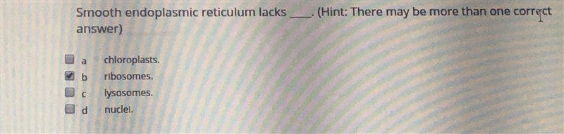 Smooth endoplasmic reticulum lacks? ( must be two answers)-example-1