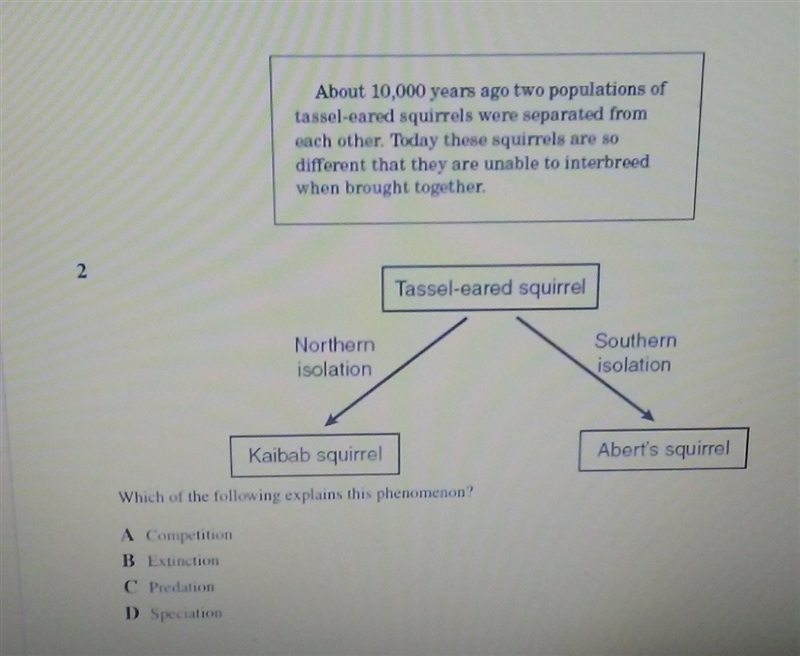 What is the answer please?-example-1