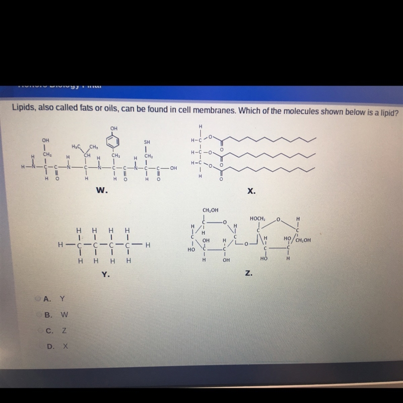 Which of the molecules shown is a lipid ?-example-1