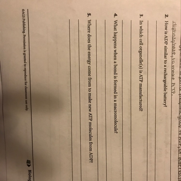 I really need help with these 4 questions!-example-1