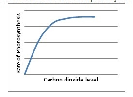 The graph below shows the effect of carbon dioxide levels on the rate of photosynthesis-example-1