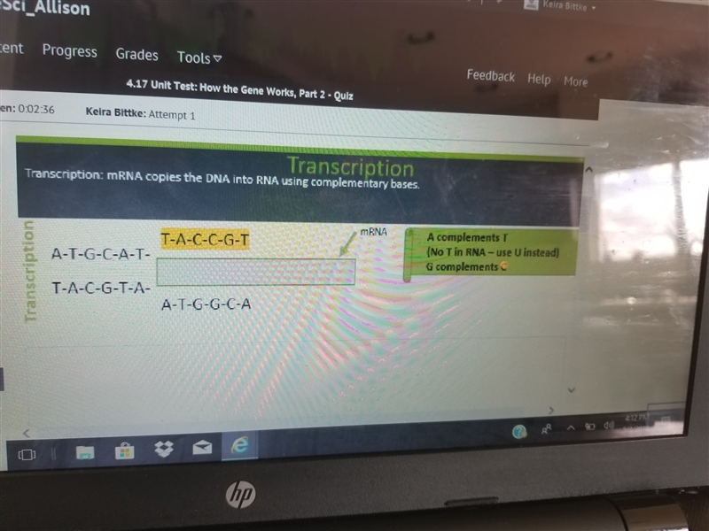 transcribe the highlighted portion of DNA into mRNA transcription mRNA copies of DNA-example-1