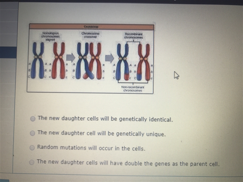 The pairing of chromosomes and the exchange of DNA between chromosomes is called crossing-example-1