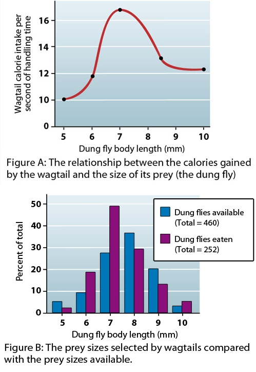 A group of researchers is collecting data on the foraging patterns of a population-example-1