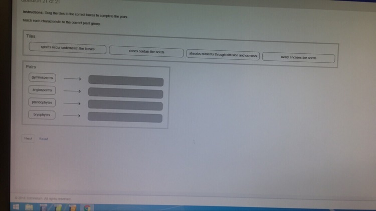 Match each characteristic to the correct plant group-example-1