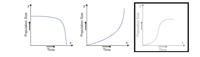 Identify the graph that represents the growth of a population that has reached the-example-1