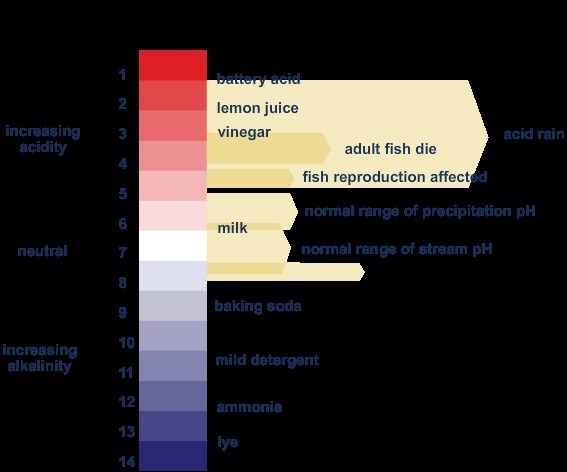 Based on the image, which statement best describes how human activity can influence-example-1