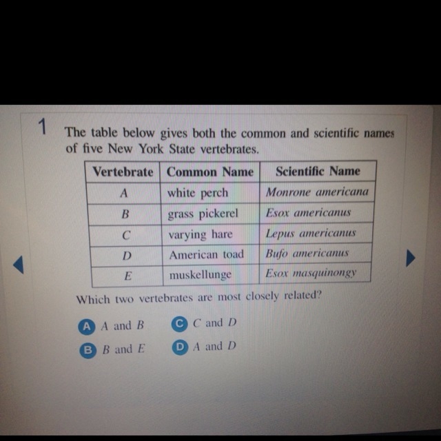 Which two are most closely related?-example-1