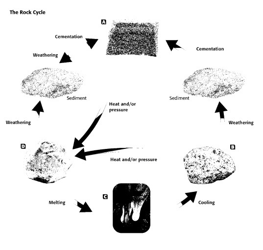 The rock labeled “A” is a. igneous. c. sedimentary. b. metamorphic. d. magma. Please-example-1