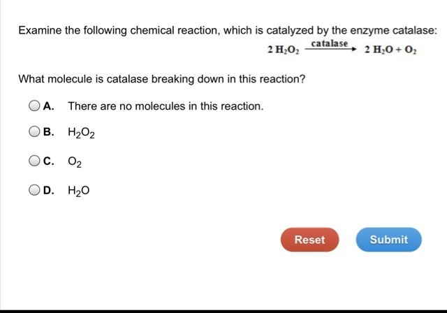 Can someone answer this?-example-1