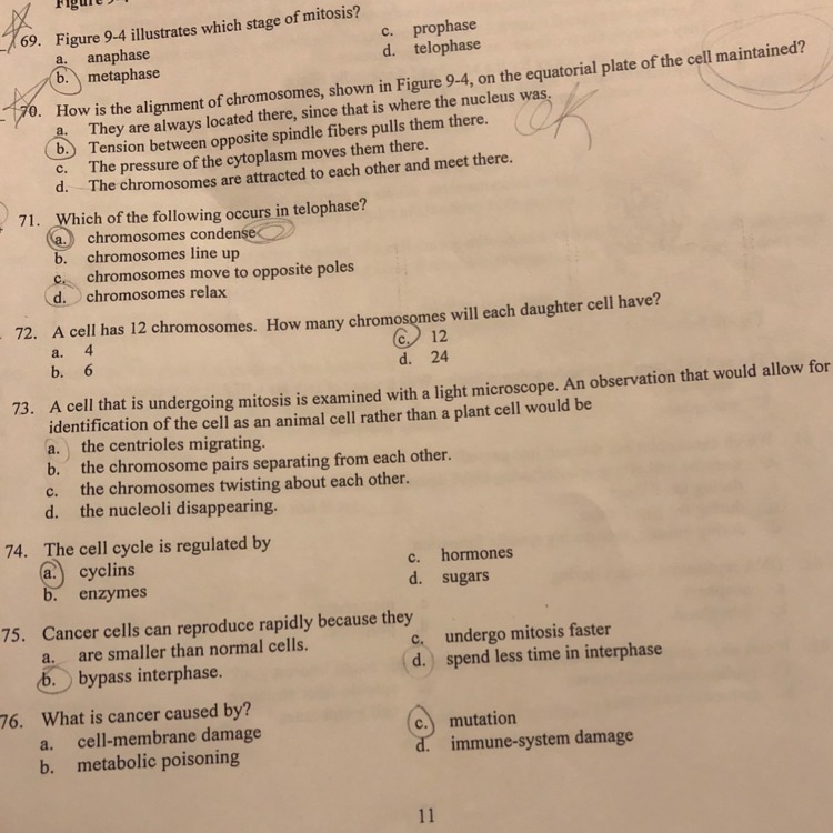 Can anybody help me out on #73 :)-example-1